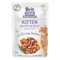 Brit Care cat Kitten Fillets in Jelly with Savory Salmon kapsičky pre mačiatka 24x85g