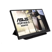 ASUS LCD 16