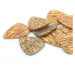 Timber Tones Coconut Palm 4-Pack