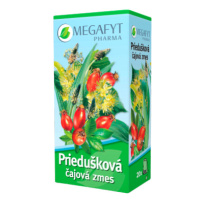 MEGAFYT Priedušková čajová zmes vrecúška 20 x 1.5 g