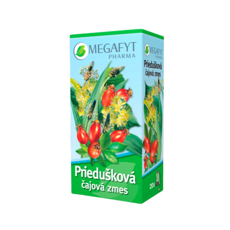 MEGAFYT Priedušková čajová zmes vrecúška 20 x 1.5 g