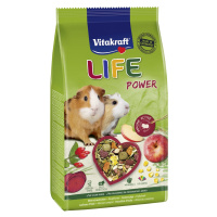 Vitakraft VK Life Pow.for Guine.Pigs600g/5