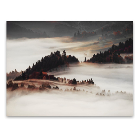 Obraz na plátne Styler Mist, 85 x 113 cm
