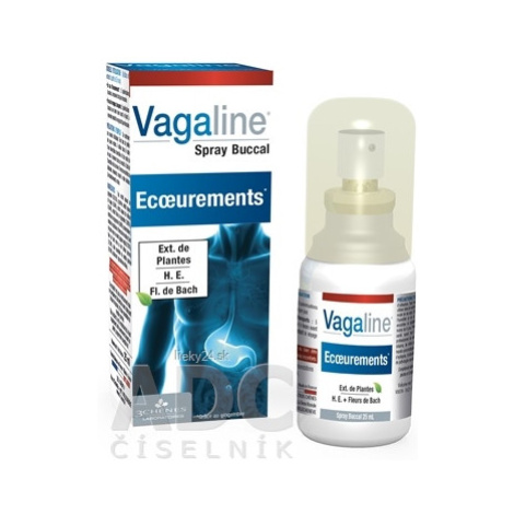 3CHENES Vagaline Spray Buccal