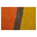 Ručne všívaný kusový koberec Illusion Candy Multi Rozmery koberca: 200x290