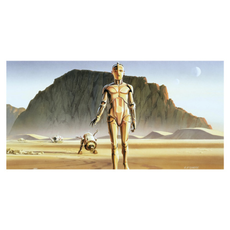 Komar Vliesová fototapeta Star Wars Classic RMQ Droids 500 x 250 cm