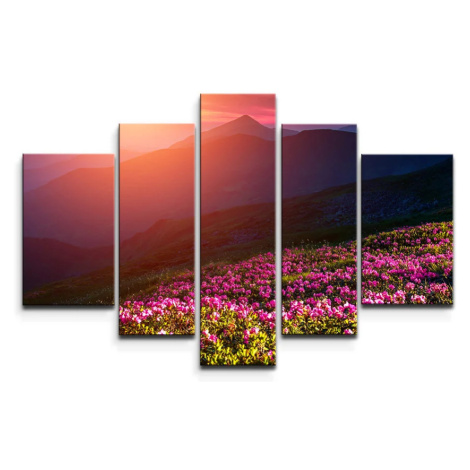 Obraz - 5-dílný Rozkvetlá Príroda - 125x90 cm