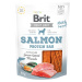 BRIT Dog Jerky Salmon Protein Bar 80 g