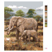 Maľovanie podľa čísel - AFRICKÉ SAFARI SLONY (JOE HAUTMAN) Rámovanie: vypnuté plátno na rám, Roz