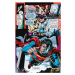 DC Comics JLA: New World Order (DC Essential Edition)