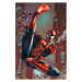 Pyramid International Spider-Man Web Sling Poster 91,5 x 61 cm
