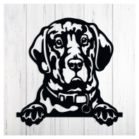 Drevený obraz pes na stenu - Labrador