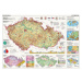 Dino Puzzle Mapy Českej republiky 2000 dielikov
