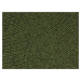 Kusový koberec Braided 105554 Green kruh – na ven i na doma - 200x200 (průměr) kruh cm NORTHRUGS