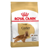 Royal Canin BHN COCKER ADULT granule pre dospelých kokeršpanielov 3kg