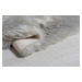 Kusový koberec Faux Fur Sheepskin Grey Rozmery koberca: 80x150