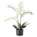 Umelá kvetina (výška 84 cm) Orchid – Bloomingville