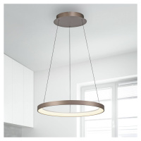 Paul Neuhaus LED závesná lampa Hoop, kávovo hnedá, Ø 57 cm