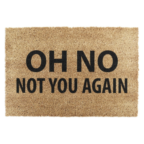 Rohožka z kokosového vlákna 40x60 cm Not You Again – Artsy Doormats