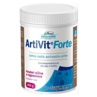 VITAR Veterinae Artivit Forte kĺbová výživa pre psy a mačky 400g