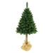 NABBI Christee 6 vianočný stromček na pni 160 cm zelená
