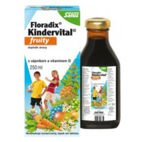 SALUS Floradix Kindervital Fruity 250 ml