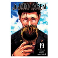 Viz Media Jujutsu Kaisen 19