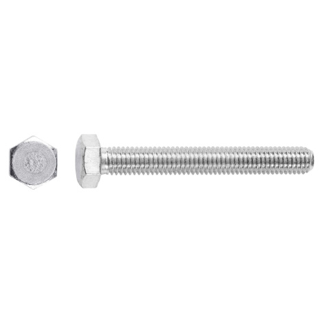 Skrutka M6 x 60 mm pozinkovaný plný závit - predaj na váhu