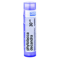 BOIRON Phytolacca Decandra CH30 granule 4 g