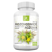 ALLNATURE Rozchodnice růžová 500 mg 60 kapsúl