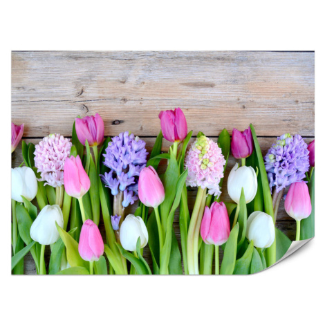 Muralo FOTOTAPETA Pre Kuchyňu Ružové Tulipy Fialové Hyacinty Drevený Stôl 150 x 105 cm