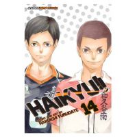 Viz Media Haikyu!! 14