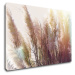 Impresi Obraz Suchá tráva - 60 x 40 cm