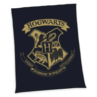 Herding Detská deka Harry Potter Hogwarts, 150 x 200 cm