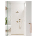 Hansgrohe Raindance Select S, ručná sprcha 120 3jet, kartáčovaný bronz, HAN-26530140