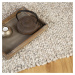 Kusový koberec Stellan 675 Ivory - 200x290 cm Obsession koberce