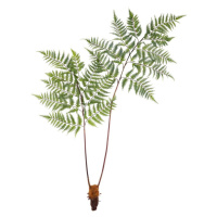 Umelá rastlina Dyropteris, V: 150cm