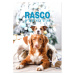 Kalendár Rasco Premium adventný