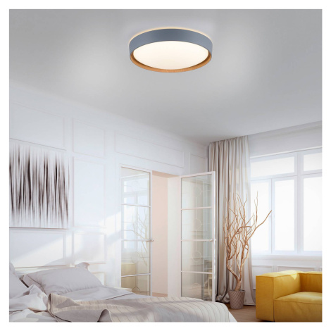 Paul Neuhaus Q-EMILIA stropné LED, sivá/drevo Q-SMART-HOME