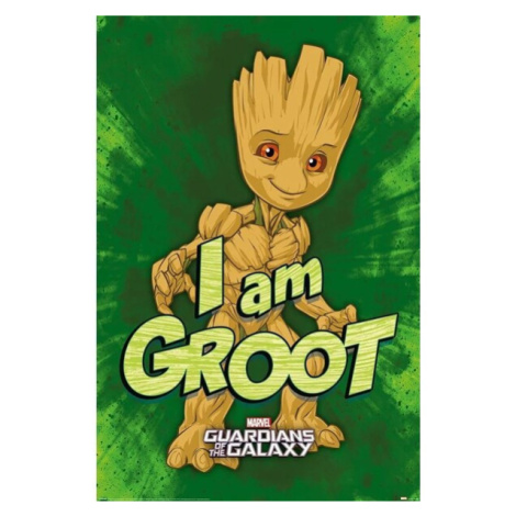 Plagát Guardians of the Galaxy - I am Groot (270)