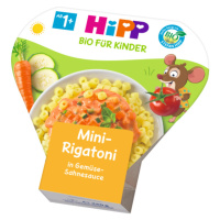 Príkrm zeleninový BIO Mini Rigatoni so zeleninou v smotanovej omáčke 250g Hipp