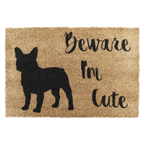 Rohožka z kokosového vlákna 40x60 cm Beware I'm Cute French Bulldog – Artsy Doormats