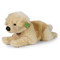 Plyšový pes Zlatý Retriever ležiaci 39 cm ECO-FRIENDLY