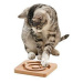 Hračka mačka interaktívna hra Round asi 19x19 KAR 1ks