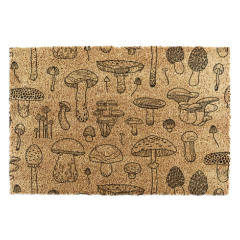 Rohožka z kokosového vlákna 40x60 cm Mushrooms – Artsy Doormats