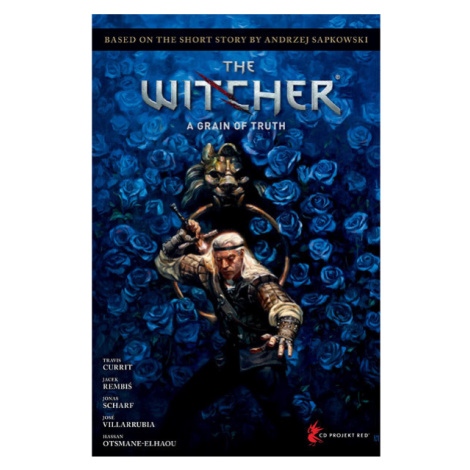 Dark Horse Andrzej Sapkowski's The Witcher: A Grain Of Truth