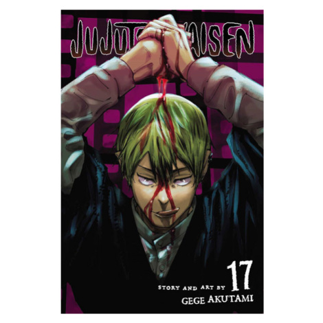 Viz Media Jujutsu Kaisen 17