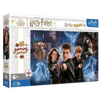 Puzzle 160 XL Super Shape - Kúzelný svet Harryho Pottera / Warner Harry Potter and the Hal