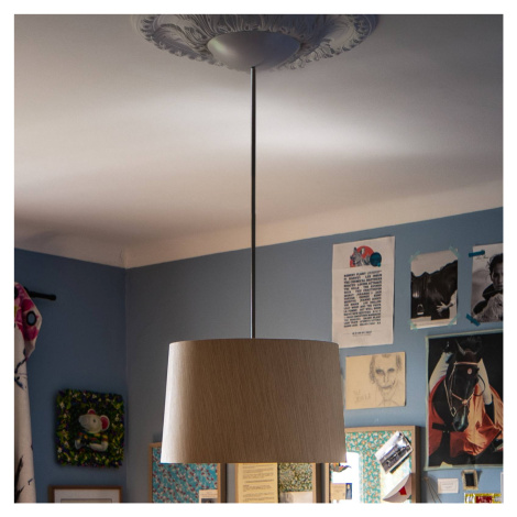 Foscarini Twiggy Wood MyLight závesná lampa greige