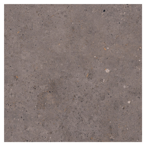 Dlažba Pastorelli Biophilic dark grey 60x60 cm mat P009456